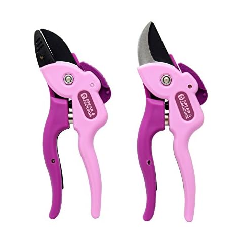 Juego de Tijeras de podar con trinquete y Yunque Cover