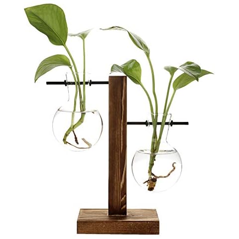 Stand Glass Planter Bulb Vase,ADSRO Glass Flowerpot with Vintage Wood Frame Holder for Hydroponic Plant Family Garden Wedding Decoration - (2 Bulb Vase) Cover