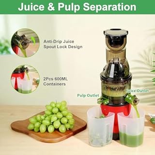 Commercial Cold Press Juicer,500W Electric Masticating Juicer Machine with 85mm Large Feed Chute & 2 Cups,Efficient Pulp Separation Technology,for Fruit Shop,Home(White)