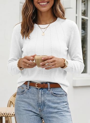Image of SHEWIN Womens Sweaters 2026 Casual Crewneck Long Sleeve Lightweight Knit Pullover Sweater Tops Fall Clothes