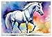 Lipizzaner Artistic Portraits of Beautiful Horses (Wall Calendar 2026 DIN A2 Landscape), CALVENDO Monthly Calendar: Intelligent, Gentle and Ready to Learn Horses from Lipica