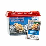 Tolle AQ4Aquaristik-Triops-longicaudatus-(rot)-Zuchtansätze. Ein spannendes Natur-Experiment für Kinder und Erwachsene! Auch seht gut als Experiment für Kindergarten und Schule geeignet!