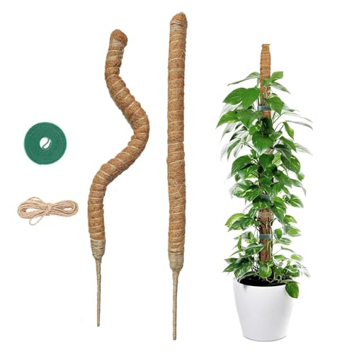 2x60cm Tuteur Monstera – Tuteurs Plante Grimpante Coco Flexible – Tuteur Plante avec Corde de Jute et Fermeture Autoagrippante – Convient à la Croissance de la Monstera et d'autres Grimpantes
