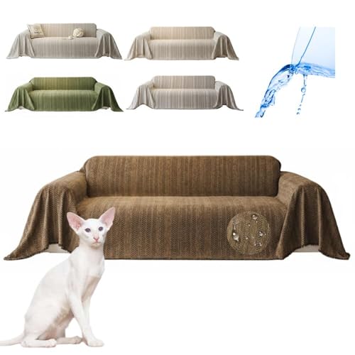 Lifetips IG^V[gwA Oriental Shorthair \t@[Jo[ k  􂦂 h }`Jo[ 2l| 3l| It IȂ ~ Eh~ LΉ lGʗp iuEj i130180C