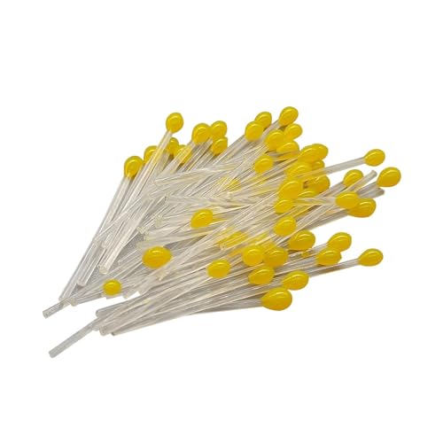 50 Jj Gr tC^CCOpi {̃tC^CCOf, F, 20mm