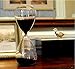 Graces Dawn Transparent Glass Hourglass Sand Timer 60 Minutes with (Black)