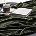 Bedsure Fleece Blanket Twin Size Olive Green - 300GSM Lightweight Plush Fuzzy Cozy Soft Warm Blanket for Bed, Sofa, Couch, Travel, Camping, 60x80 inches