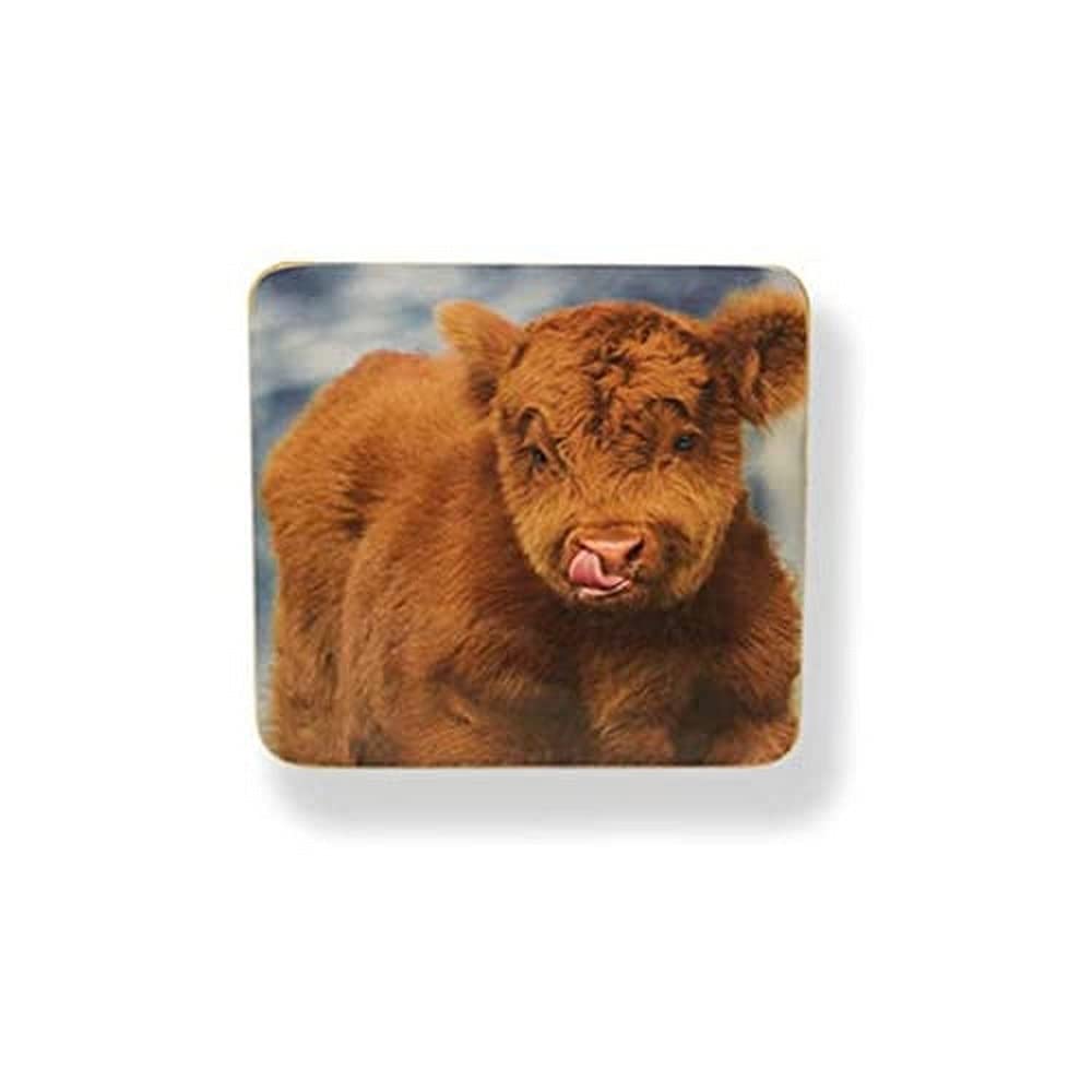 Scott_InnessCHEEKY CALF COASTER SET OF 6 IN CDU