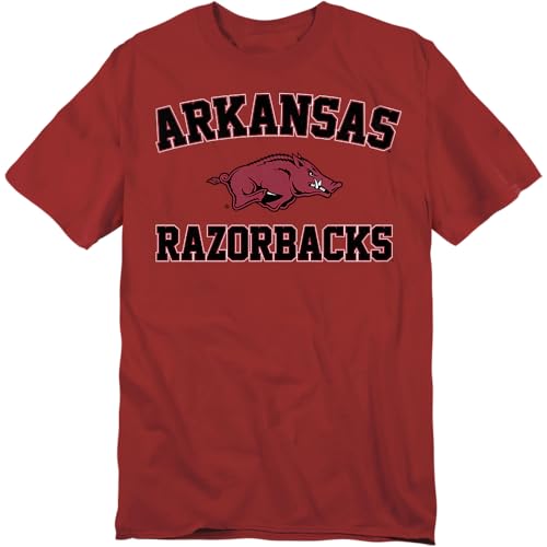 LOGOVISION University of Arkansas Campus Classic Unisex Adult T Shirt, Garnet, Large