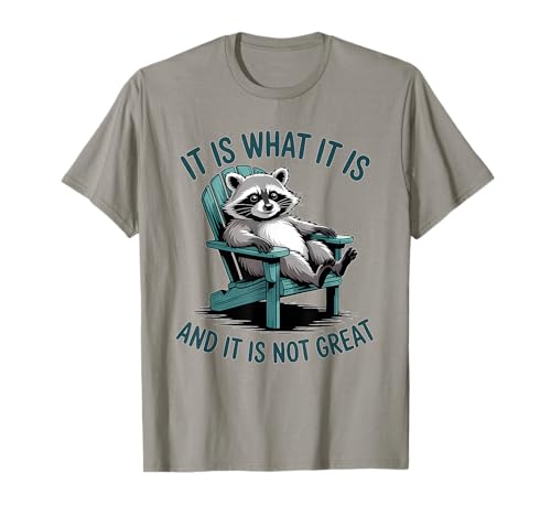 It's What It's Funny Raccoon Lounging Humour T-Shirt