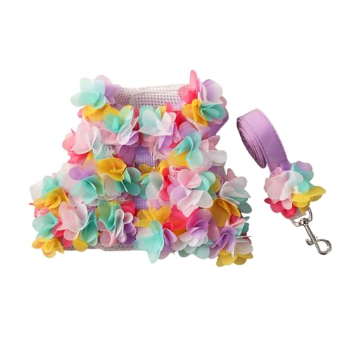 ̃RX`[t`hXybgn[lX[Xt[XJ[ghXhX`FXgxXgʐ^X[cn[lX