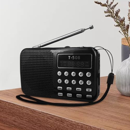 Radio AM/FM portable avec haut-parleur pour briser le silence - 3