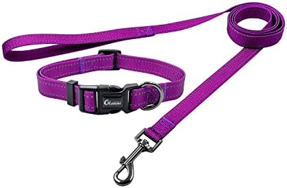 Olahibi Basic Dog Collar and Leash Combo Set, Leopard Pattern, Polyester Webbing, Collar and 150CM Matching Leash for Small Dogs.(S, Leopard Set)