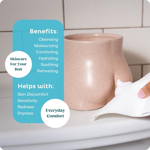 Image of Tushe Toilet Paper Foam Refill for Foam & Spray Bottles - Flushable Wet Wipe Alternative for Sensitive Skin - Unscented, Septic Safe - 340ml (11.49 fl oz)