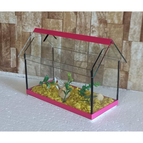 Aquario Beteira Para Peixe Betta Casinha II Decorada (Vermelho)