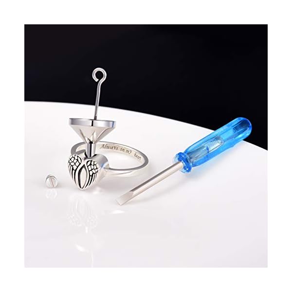 BEILIN-Sterling-Silver-Rose-Flower-Angel-Wings-Tree-of-Life-Urn-Ring-Hold-Loved-Ones-Ashes-Always-in-my-heart-Keepsake-Memorial-Jewelry-Cremation-Rings-for-women BEILIN Sterling Silver Urn Ring for ashes Keepsake Memorial Loved Ones Jewelry Cremation Rings (Angel Wings Urn Ring, 9)