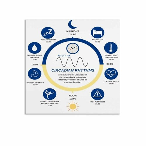 Circadian Rhythm Chart Guide Poster (5) Canvas for Living Room