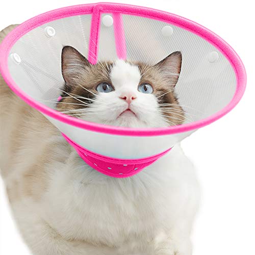 cat hard cone - Cat Cone Dog Cone Collar Soft Dotted Recovery Collar After Surgery for Cats Kitten Puppy Small Dogs Pets Animals (S, Rose Red)