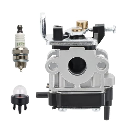 Carburateur WYC-22 pièce moteur thermique 669-6550 CG22EABSLP