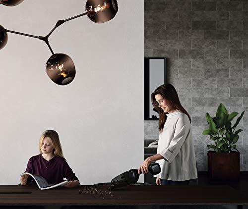 AEG 900402020, Aspirapolvere a Batteria, Nero