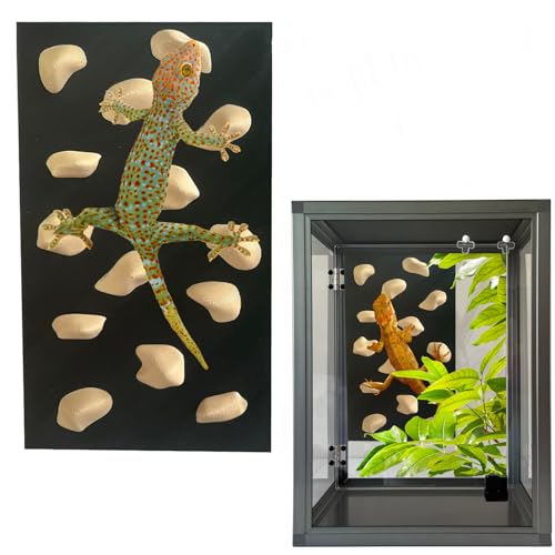 Rock Climbing Wall for Bearded Dragons Climbing Rock Wall Grips for Bearded Dragons Tank Accessories Reptiles Toy Rock Wall Holds (Beige)