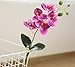 6 Branch Artificial Orchid Stems with Leaves,15” Real Touch Dancing Orchid Flower,Fake Plants Phalaenopsis for Wreaths Wedding Centerpiece Floral Arrangement Porch Summer Cemetery Decor (Rose Pink)