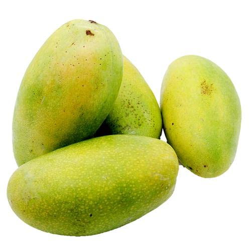 Image of Premium Dasheri Mango Plant Grafted 2-3 Feet Height - Fresh And Healthy Fruit Tree For Home Garden PB 32