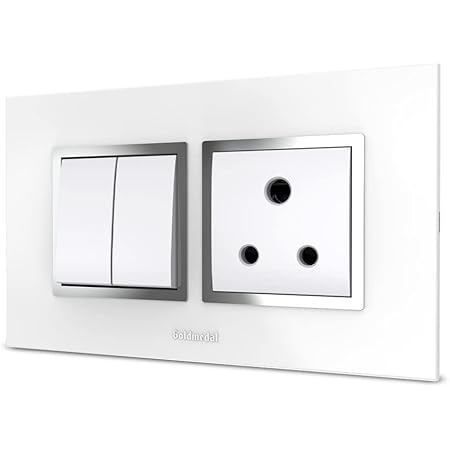 Goldmedal Switch Combo with Cover Plate - Nixon 10Amp Switch (2N) 6Amp ...