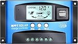 Autoday MPPT 40A-100A 12V/24V Auto Focus Tracking Solar Panel Regulator Dual USB Port Charge Controller (100A)