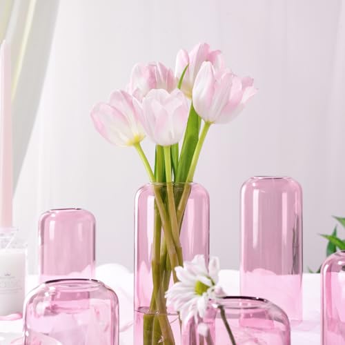 Image of ZENS Bud Vases Set of 6, Pink Clear Small Glass Vase for Flowers. Modern Hand Blown Cylinder Glass Vase for Wedding Reception Centerpieces Living Room Decorative.