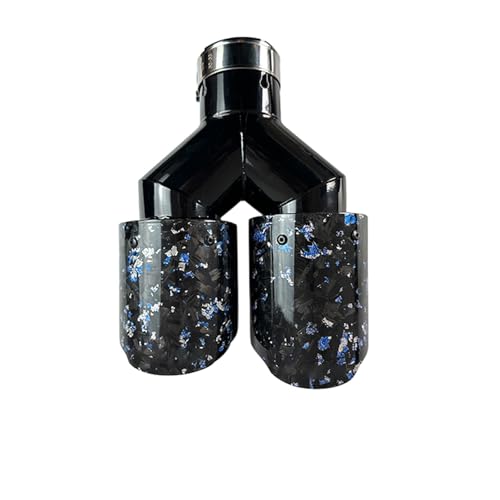 Embout d'échappement pour BMW en acier inoxydable double bouche 66-101mm