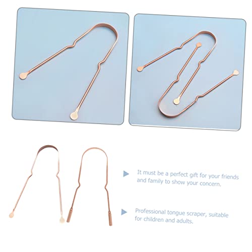 HOMSFOU Espátula Inoxidável 10 Pcs Raspador De Língua Ferramentas Raspadores De Língua Portáteis Lim