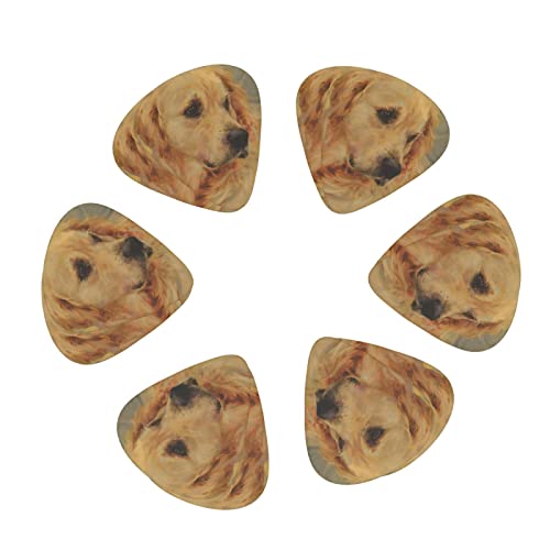 Pack de 12 médiators Golden Retriever pour guitare électrique Guitare acoustique Diverses guitares - Les Beatles, Paul McCartney, John Lennon, RIngo Starr, George Harrison Pack de 12 médiators Golden Retriever pour guitare électrique Guitare acoustique Diverses guitares