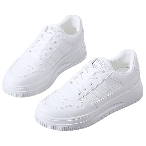 [miniministore] [JbgXj[J[  fB[X؍ JWA tbgV[Y ₷  PUU[Xj[J[ ʋΒʊwrV[Y [XAbvC₷izCgC23.5cmi3jj