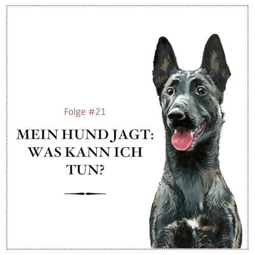 Mein Hund jagt: Was kann ich tun? - #21 Podcast Por arte de portada