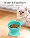 MateeyLife Raised Cat Bowls, Cat Food Bowl Elevated for Kittens & Small Dogs, 15°Tilted Protect Pets' Neck and Anti Vomiting, Whisker Friendly Food & Water Feeding Bowl, 6 oz Each - Green