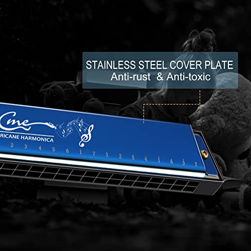 Dégagement Harmonica C 24 Trous Diatonic Dual Tremolo Harmonica avec Etui pour Débutant par Afuaim (Bleu) - Les Beatles, Paul McCartney, John Lennon, RIngo Starr, George Harrison Dégagement Harmonica C 24 Trous Diatonic Dual Tremolo Harmonica avec Etui pour Débutant par Afuaim (Bleu) – Image 7