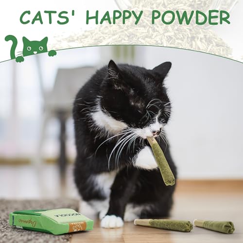 Nocciola 3 Pack Catnip Toys for Cats, Funny Cat Toys Filled with 100% Pure Organic Catnip, Safe Kitten Teething Chew and Kicker Toys, Stress Relieving Fun for Indoor Cats - Image 5
