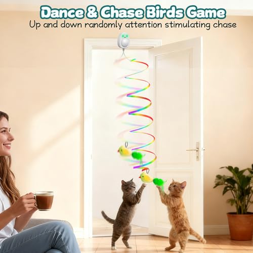 Image of Interactive Cat Toys for Indoor Cats,Electric Flying Bird & Mouse Wand Teaser, Automatic Hanging Door Frame Chase /Hunt /Exercise Stimulate String Cat Toy for Bored Indoor Adult & Kitten