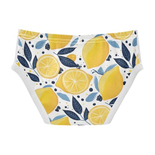 Wusikd Lemons Boys' Underwear Cotton Polka Dot Blue Boys Briefs Soft Toddler Underwear 2T2