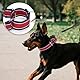 Axdvk Martingale Halsband für Hunde-4 cm Breites, 1600D Hochfestes Ausbruchssicheres Nylon-Halsband mit 3-Farben Streifen-Zugfest & Langlebig für Mittelgroße bis Sehr Große Hunde M, Khaki&Dunkelbraun