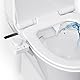 Couleeur Bidet Einsatz für Toilette,Bidet Aufsatz für Toilette(Frontal & Rear Wash),Nicht Elektrisch Kaltes Wasser Bidet mit Einziehbare Selbstreinigende Doppeldüsen Einstellbarer Wasserdrucks