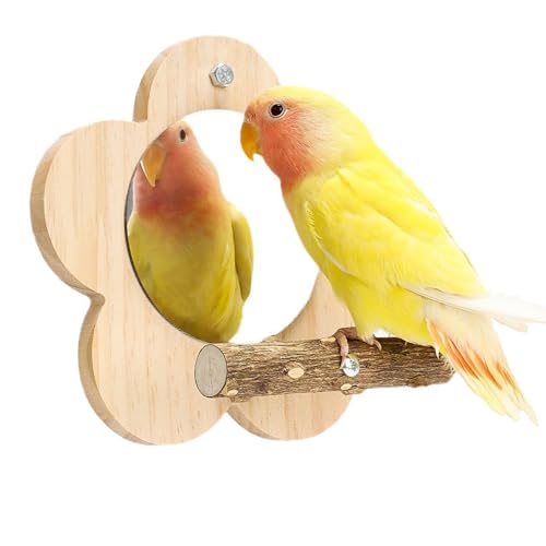 Parrot Perch Stand with Mirror & Chew Toys Natural Wood Bird Play Gym for Cockatiels Conures Parakeets Lovebirds Cage Climbing Ladder Beak Grinding Activity Center