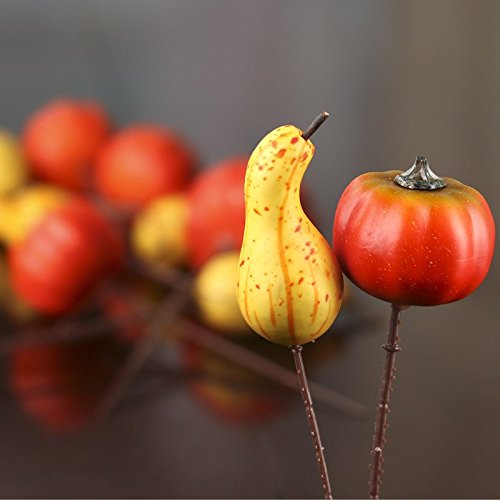 Factory Direct Craft Pack of 24 Small Artificial Autumn Assorted Pumpkin and Gourd Picks for Thanksgiving and Fall Decorating