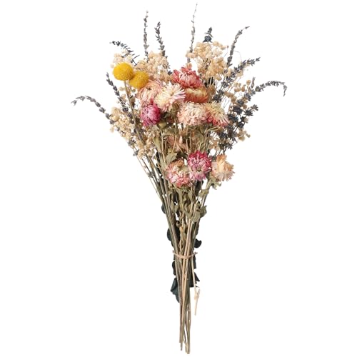 Ovveroche Dried Flowers Bouquet Set with Lavender Pink Daisies Baby's