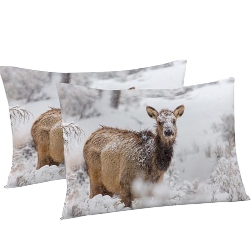 Housse couette en microfibre douce anti-plis lit 220x240 - 8