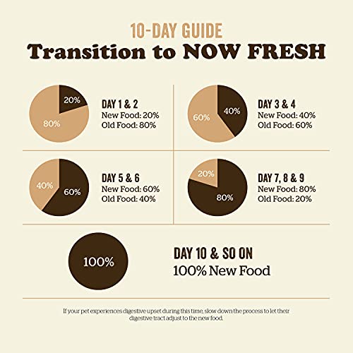 Now Fresh Grain Free Cat Food, 8 Lb - Dry Cat Food Recipe For Adult Cats With Real Meat And Fish For Protein - Healthy Kitty Food #TOP7