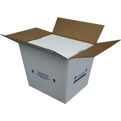 Air Sea Containers Insulated Styrofoam Cooler (Inner Dims: 25-1/2