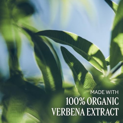 L’Occitane Shea Butter Verbena mydło w płynie, 500 ml