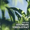 L'OCCITANE Shea Butter Liquid Hand Soap Enriched with Organic Verbena. 16.90 fl oz